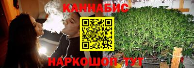 стаф Бузулук